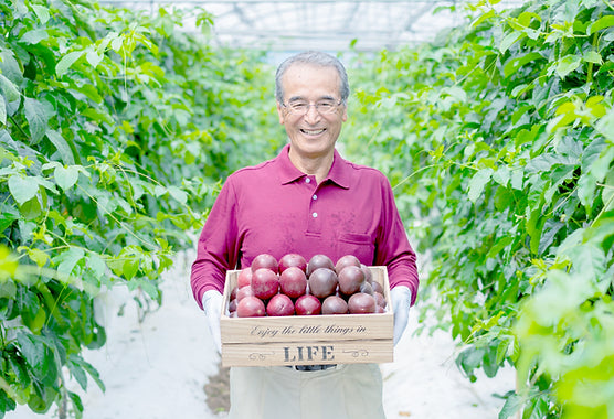 無農薬栽培にこだわった、沖縄産パッションフルーツを使ったクリアホエイプロテイン