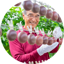 沖縄情熱農園<br>　