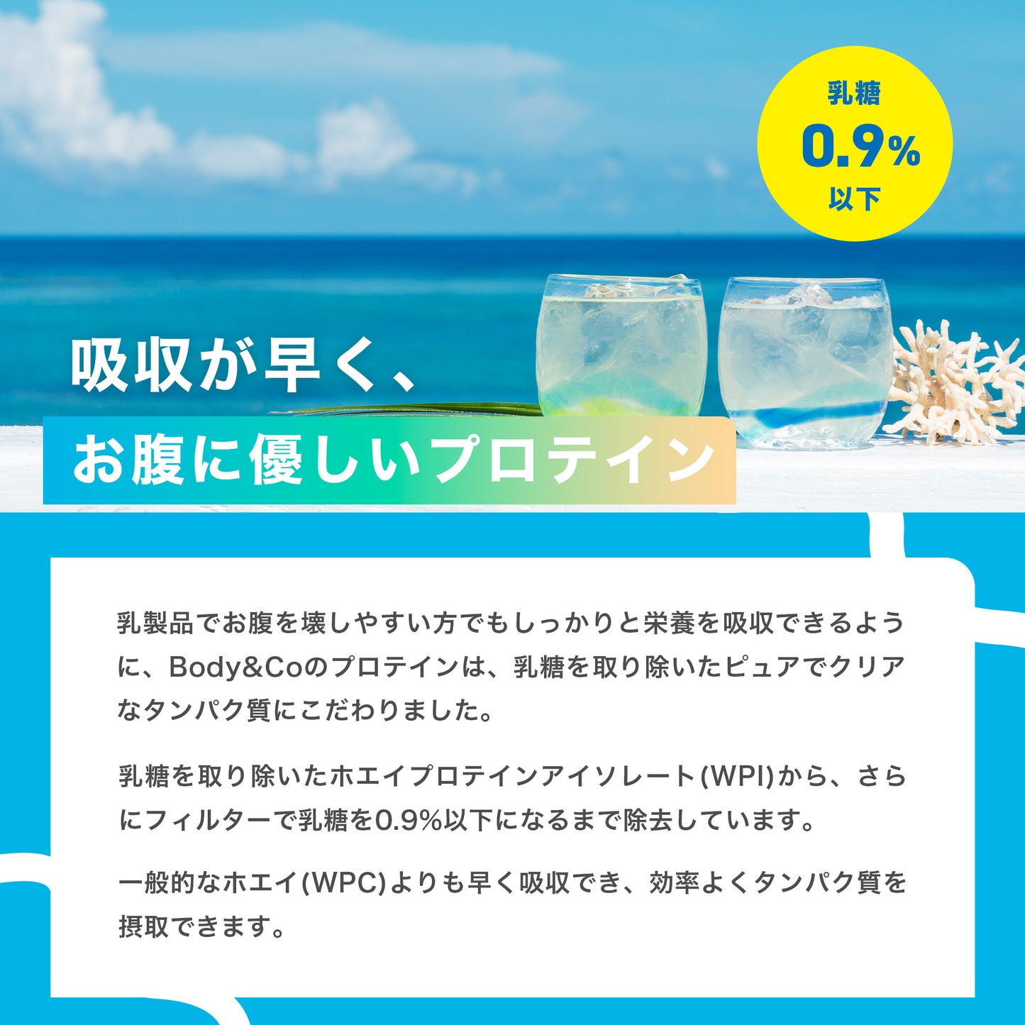 Body&Co クリアホエイプロテイン 沖縄県産パッションフルーツ味 600g