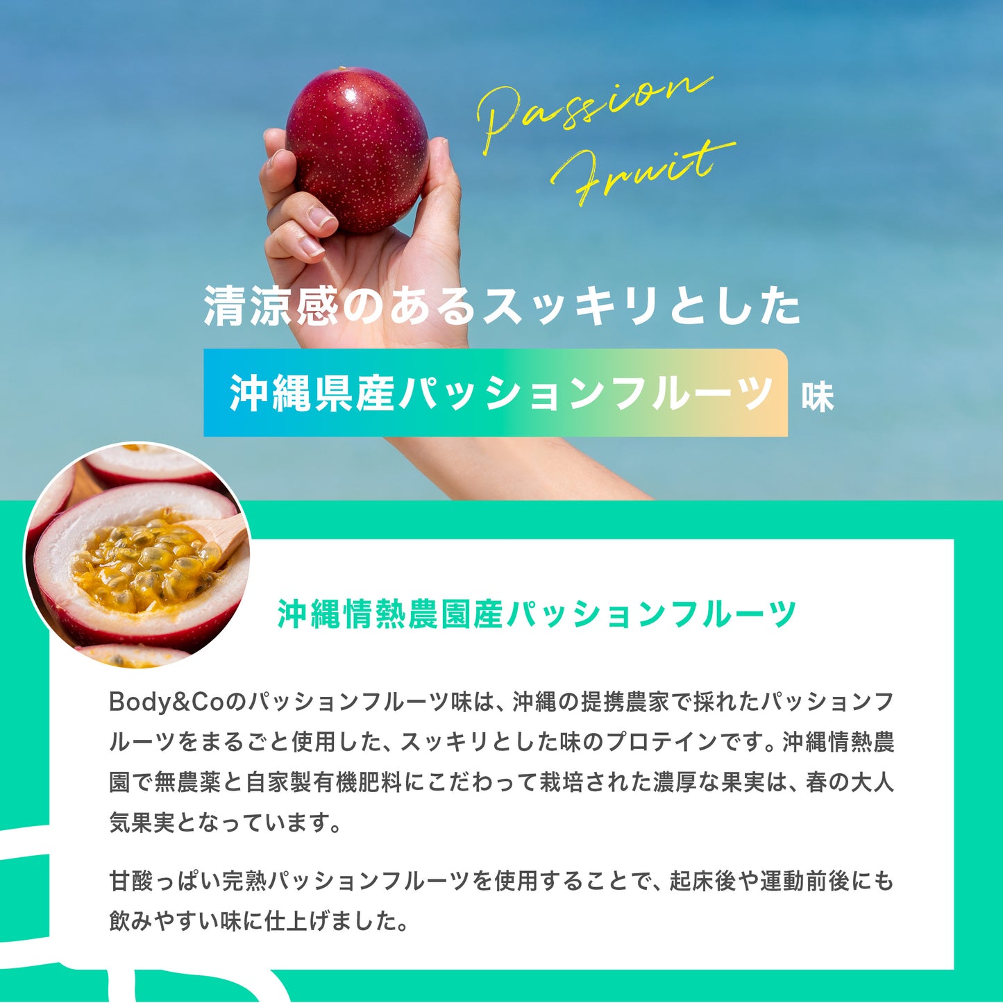 Body&Co クリアホエイプロテイン 沖縄県産パッションフルーツ味 600g